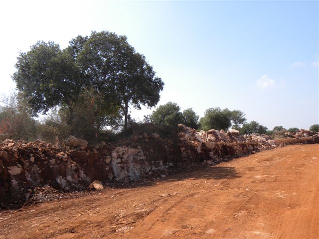 תמונות 029