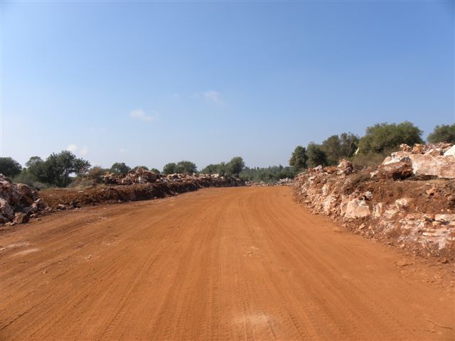 תמונות 031