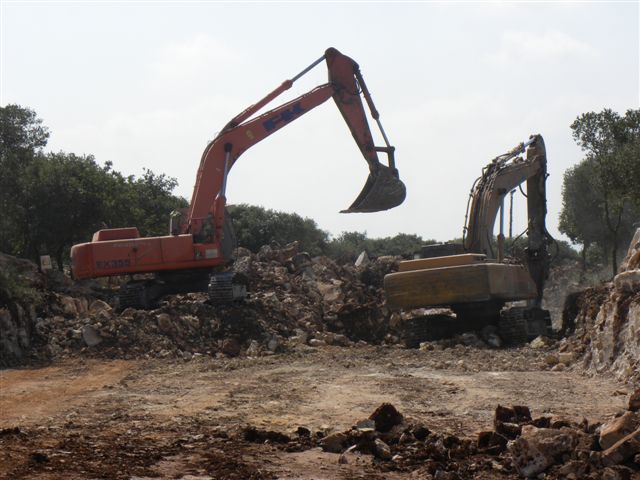 תמונות 035