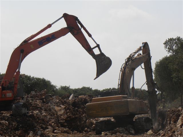 תמונות 037