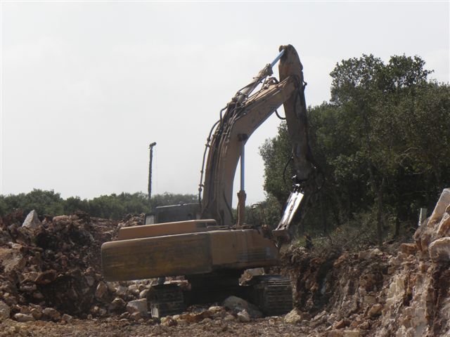 תמונות 041