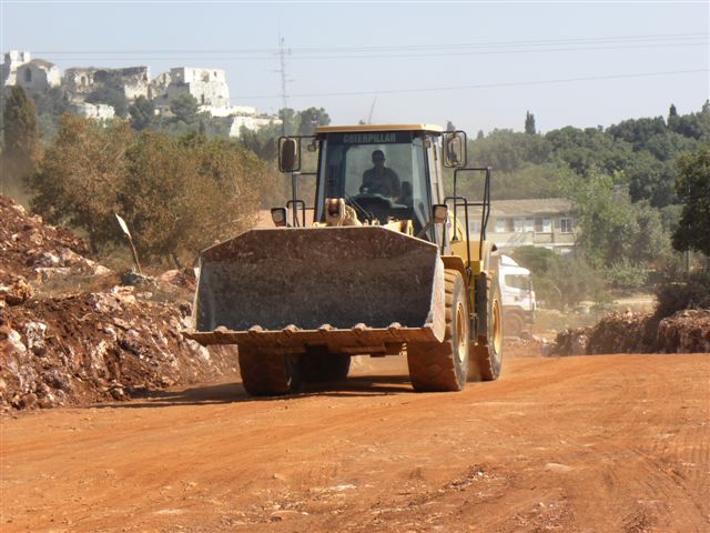 תמונות 043
