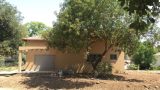 IMG-20160721-WA0051