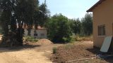 IMG-20160721-WA0054
