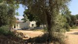 IMG-20160721-WA0057