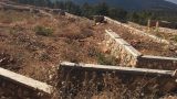 img-20161019-wa0009